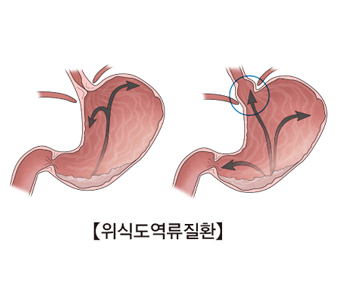 홍내과 이미지