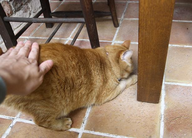 여자들이 반할 수 밖에 없다는 뒷모습 ㄷㄷㄷ.JPG | 인스티즈